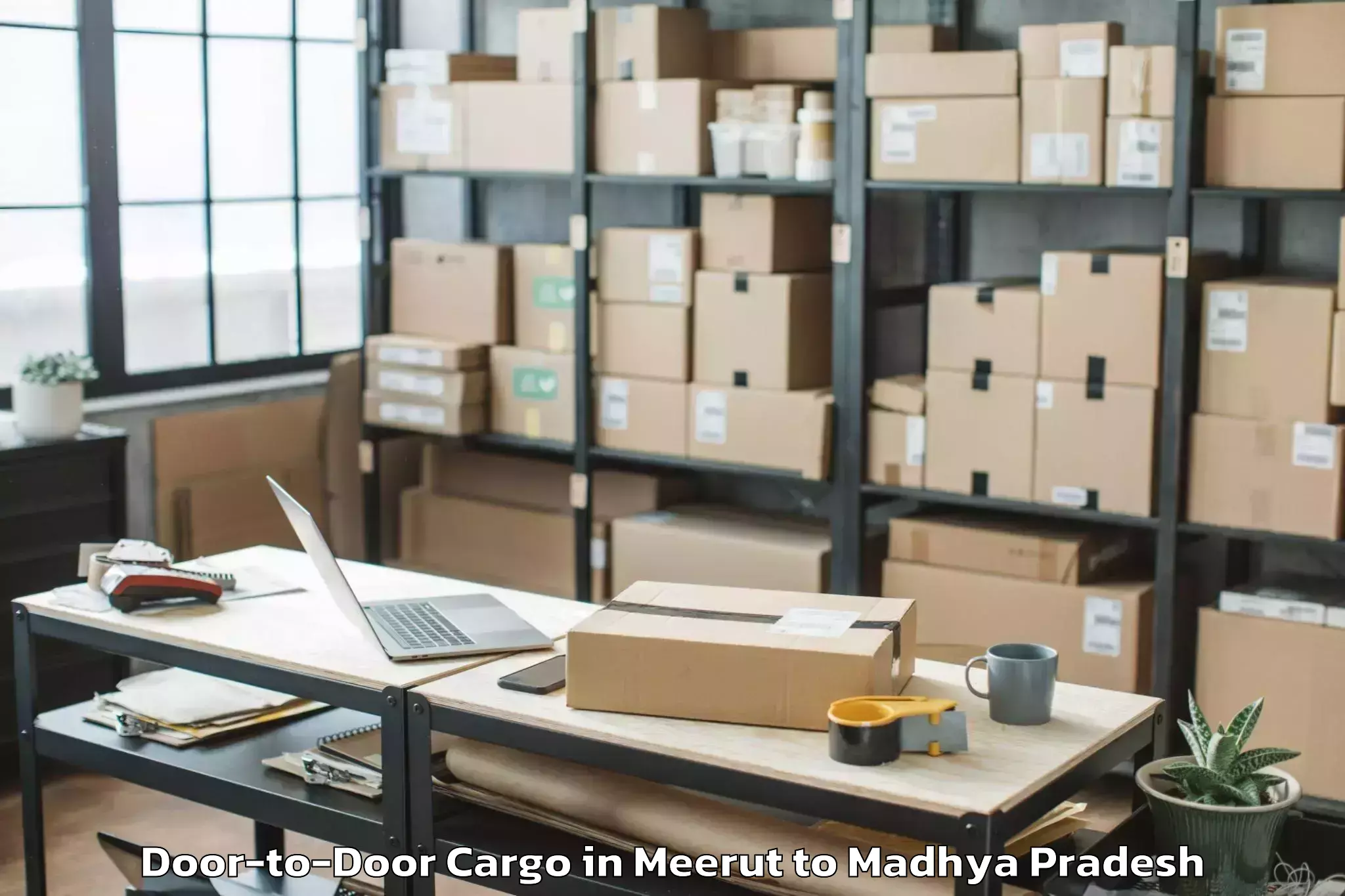 Leading Meerut to Pithampur Door To Door Cargo Provider